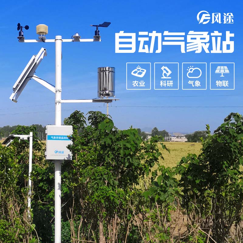 小麥穗期病蟲害如何監測？